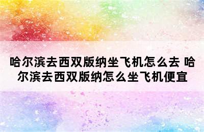 哈尔滨去西双版纳坐飞机怎么去 哈尔滨去西双版纳怎么坐飞机便宜